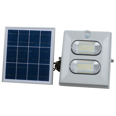 100W SOLAR PROJEKTÖR